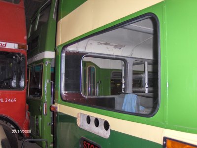 Dennis Loline III (462)